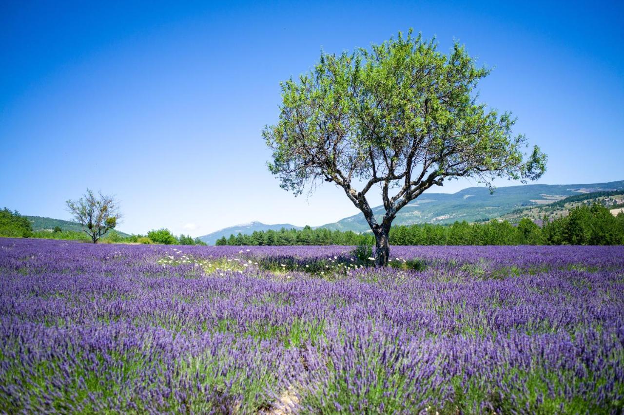 Le Claux Du Puits By Ateya Vacances Villa Saint-Trinit Buitenkant foto